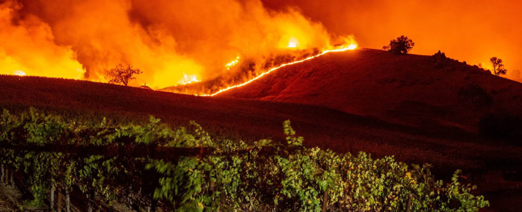 Off the Grid Northern California Fire Relief Fund Image